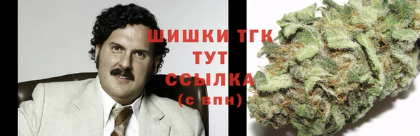 стафф Верхний Тагил