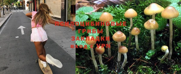 каннабис Верея