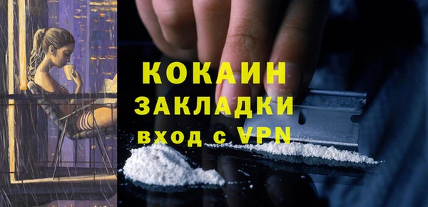 стафф Верхний Тагил