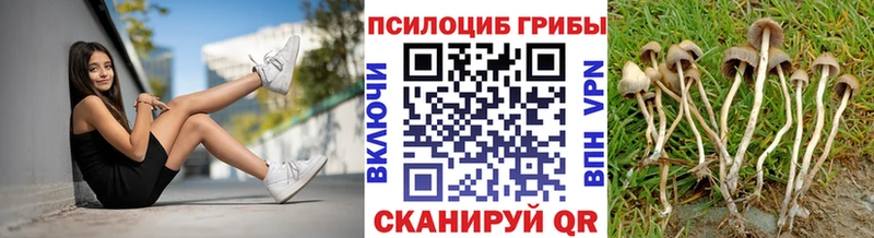 omg tor  Люберцы  Галлюциногенные грибы Cubensis 